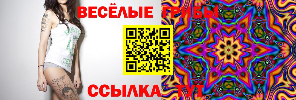 дарнет шоп  Галлюциногенные грибы мухоморы  Вход с VPN  Артёмовский 